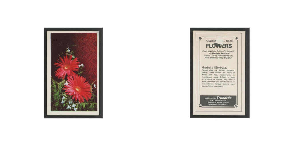 1970 Trucards Flowers Gerbera #18
