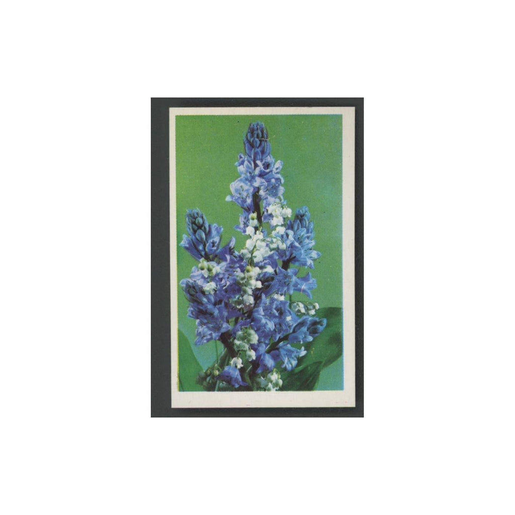 1970 Trucards Flowers Lily of the Valley #16
