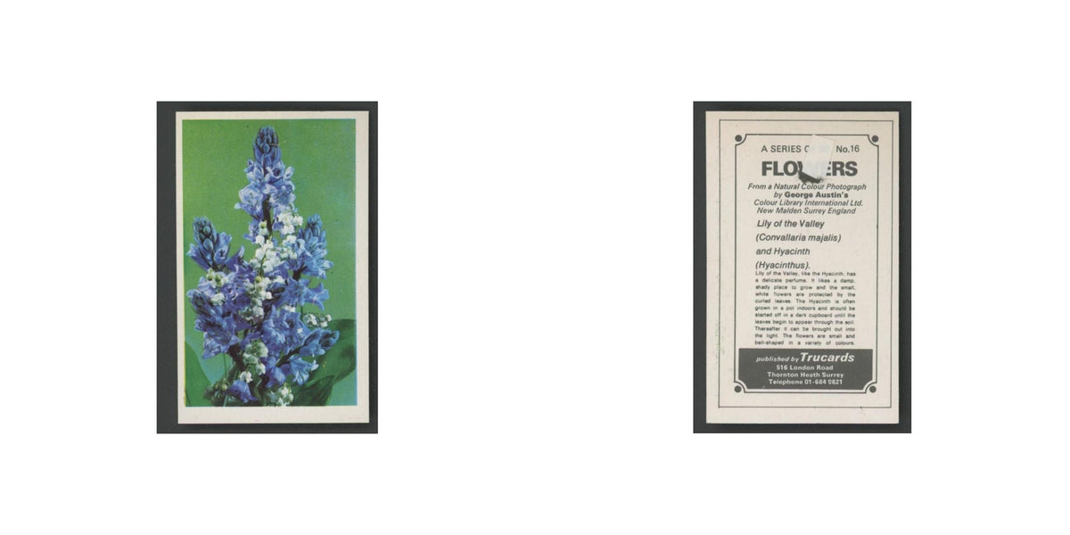 1970 Trucards Flowers Lily of the Valley #16