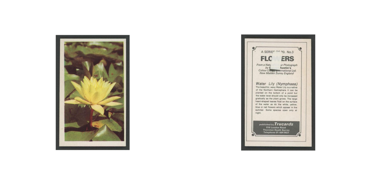 1970 Trucards Flowers Water Lily #3