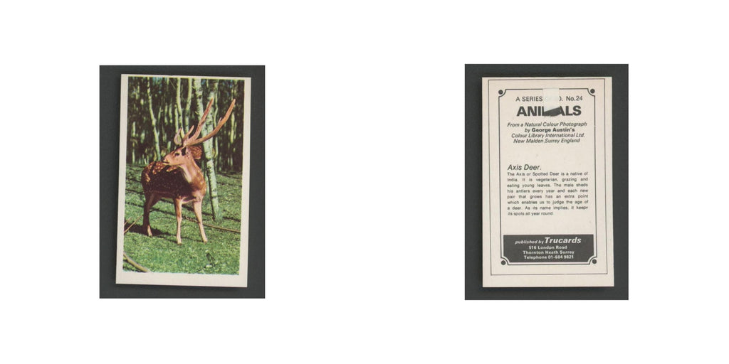 1970 Trucards Animals Axis Deer #24