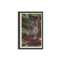 1970 Trucards Animals Cape Striped Field Mouse #10
