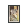 1970 Trucards Animals The Koala Bear #18