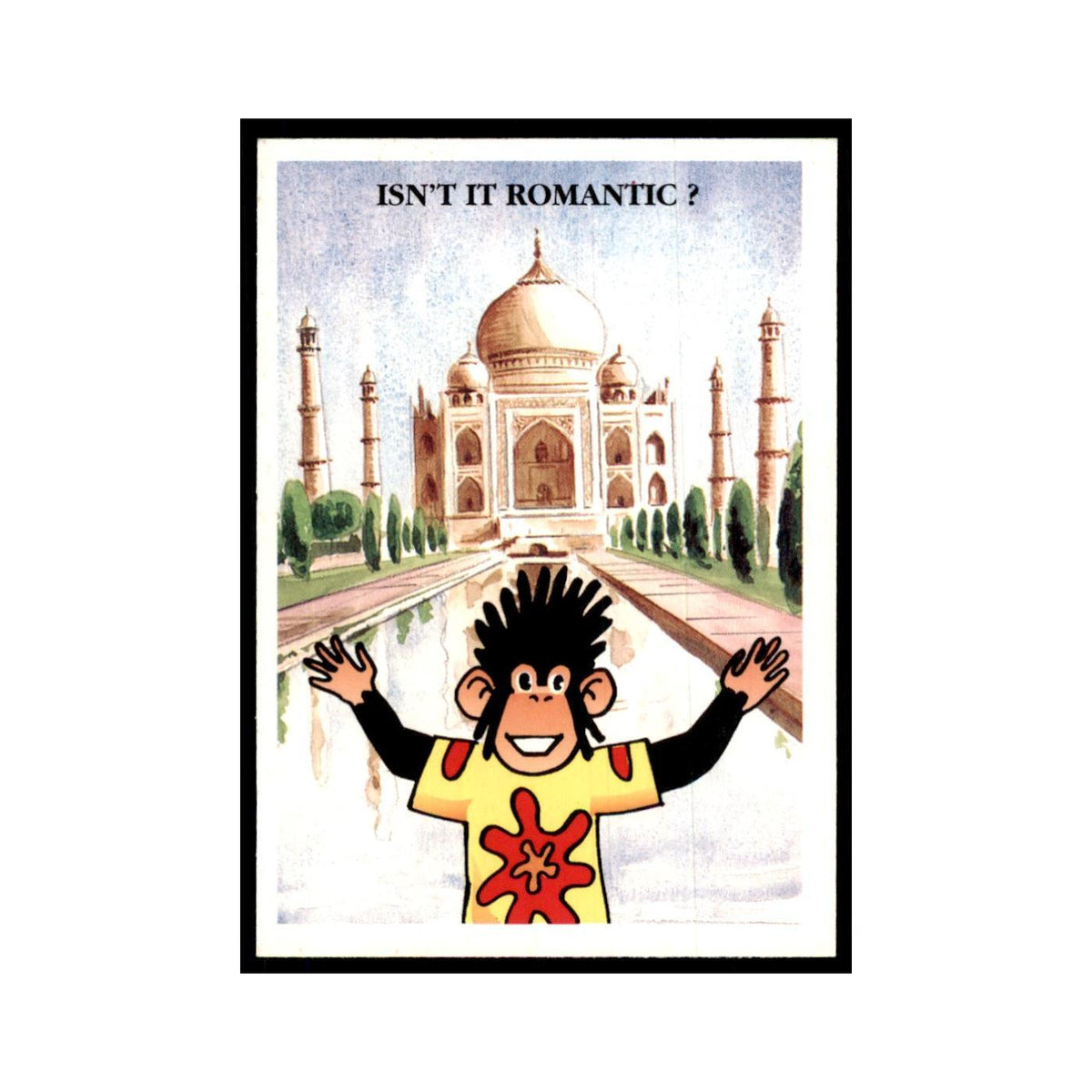 1997 PG Tips Wonderful World of Kevin Tipps Taj Mahal #21
