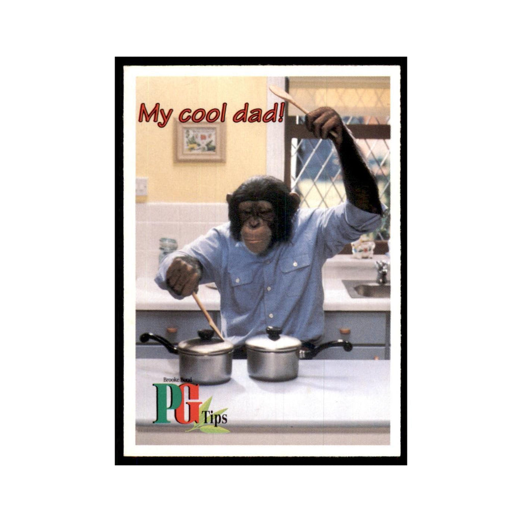 1995 PG Tips The Secret Diary of Kevin Tipps November 14 #nan