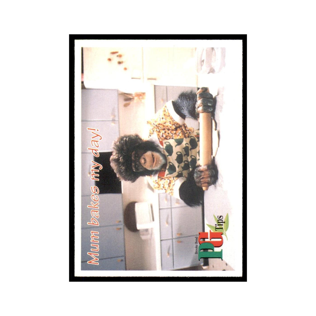 1995 PG Tips The Secret Diary of Kevin Tipps April 7 #nan