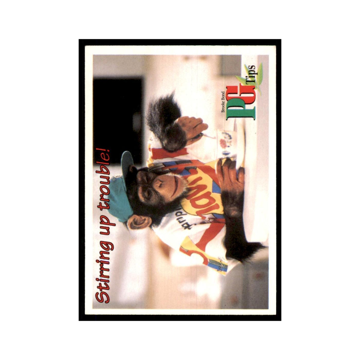 1995 PG Tips The Secret Diary of Kevin Tipps February 17 #nan
