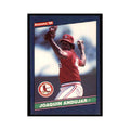 1986 Donruss Joaquin Andujar Cardinals #231