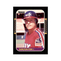 1987 Donruss Carlton Fisk Baseball Cards #247