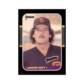1987 Donruss LaMarr Hoyt Baseball Cards #434