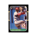 1987 Donruss Ricky Horton Baseball Cards #234