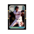 1987 Donruss Tim Raines Baseball Cards #216