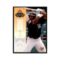 2003 Donruss Champions Carlos Rivera Baseball Cards #205