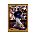 2002 Topps Home Team Advantage Larry Walker Baseball Cards #25
