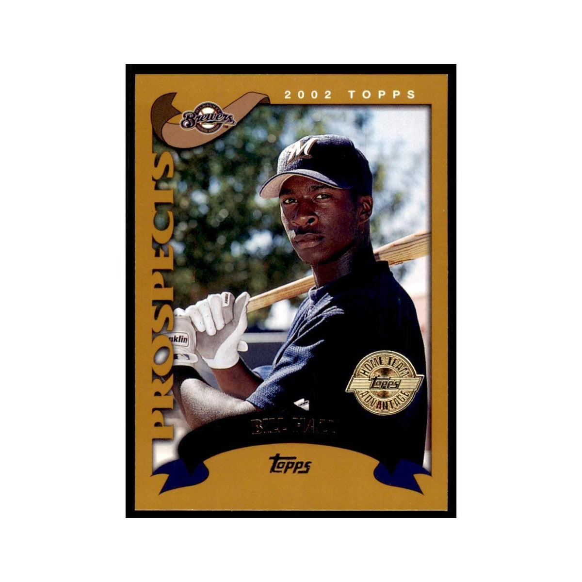 2002 Topps Home Team Advantage Bill Hall Baseball Cards #676