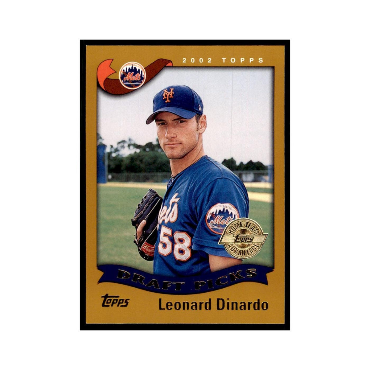 2002 Topps Home Team Advantage Lenny DiNardo Baseball Cards #691