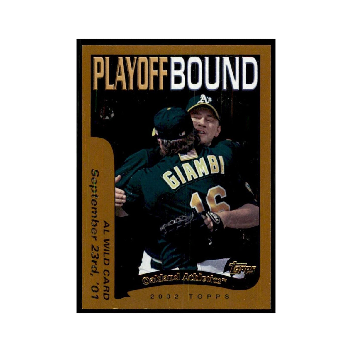 2002 Topps Home Team Advantage Al Wild Card Baseball Cards #350