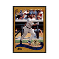 2002 Topps Home Team Advantage Donnie Sadler Baseball Cards #464