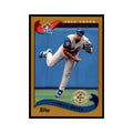 2002 Topps Home Team Advantage Vernon Wells Baseball Cards #463