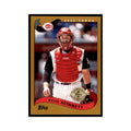 2002 Topps Home Team Advantage Kelly Stinnett Baseball Cards #381