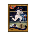 2002 Topps Home Team Advantage Damion Easley Baseball Cards #482