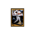 2002 Topps Home Team Advantage Carlos Lee Baseball Cards #608