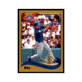 2002 Topps Home Team Advantage Raul Mondesi Baseball Cards #560