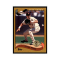 2002 Topps Home Team Advantage Pedro Feliz Baseball Cards #569
