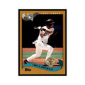 2002 Topps Home Team Advantage Luis Castillo Baseball Cards #113
