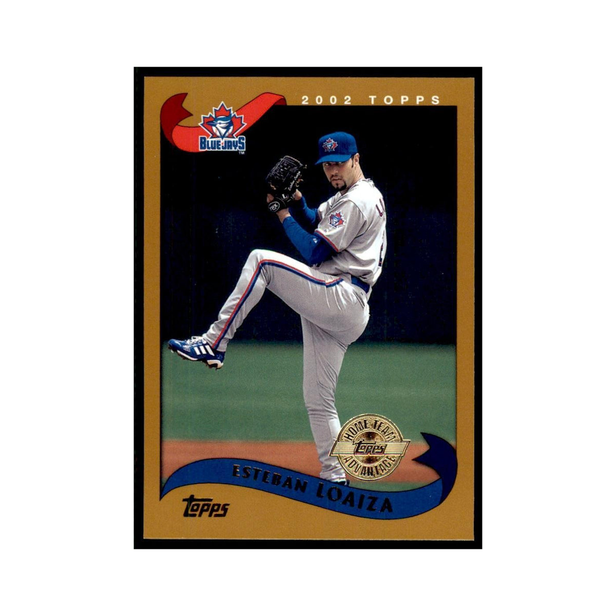 2002 Topps Home Team Advantage Esteban Loaiza Baseball Cards #93