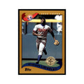 2002 Topps Home Team Advantage Vladimir Guerrero Baseball Cards #100