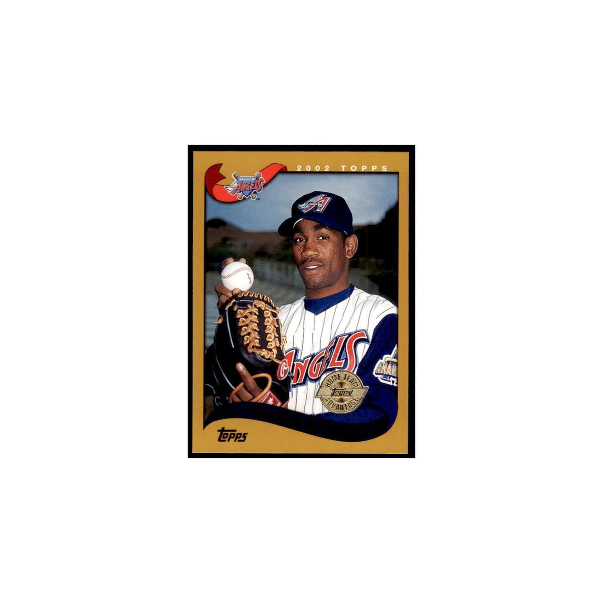 2002 Topps Home Team Advantage Ramon Ortiz Baseball Cards #149