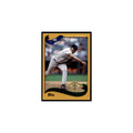2002 Topps Home Team Advantage Esteban Yan Baseball Cards #148