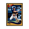 2002 Topps Home Team Advantage Frank Catalanotto Baseball Cards #128