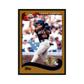 2002 Topps Home Team Advantage Torii Hunter Baseball Cards #243