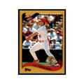 2002 Topps Home Team Advantage Jim Edmonds Baseball Cards #245
