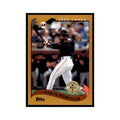 2002 Topps Home Team Advantage Shawon Dunston Baseball Cards #228
