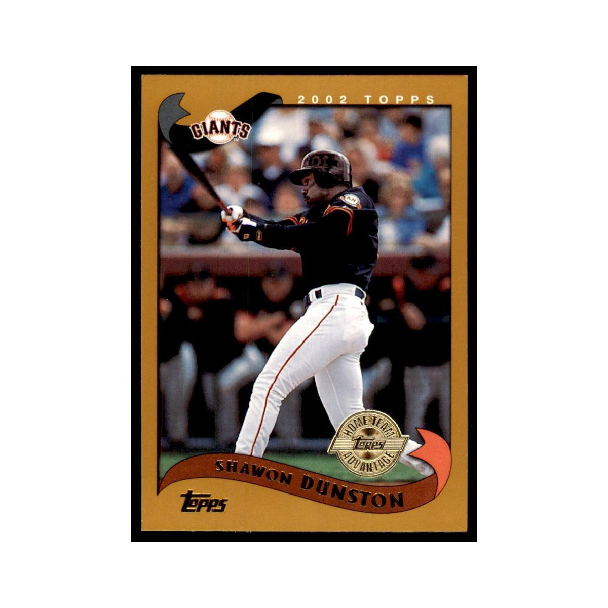 2002 Topps Home Team Advantage Shawon Dunston Baseball Cards #228
