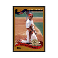 2002 Topps Home Team Advantage Placido Polanco Baseball Cards #268