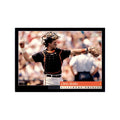 1994 Score Chris Hoiles Baseball Cards #357