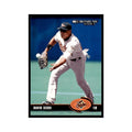 2003 Donruss David Segui Baseball Cards #84