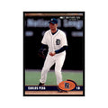 2003 Donruss Carlos Pena Baseball Cards #132