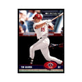 2003 Donruss Tim Salmon Baseball Cards #79