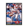 2003 Donruss Fernando Tatis Baseball Cards #329