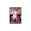 2003 Donruss Mike Lieberthal Baseball Cards #349