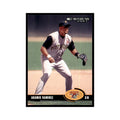 2003 Donruss Aramis Ramirez Baseball Cards #358