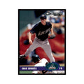 2003 Donruss Craig Counsell Baseball Cards #236
