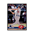 2003 Donruss Shawn Green Baseball Cards #299