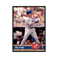 2003 Donruss Paul Lo Duca Baseball Cards #301