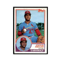 1983 Topps Joaquin Andujar Baseball Cards #228